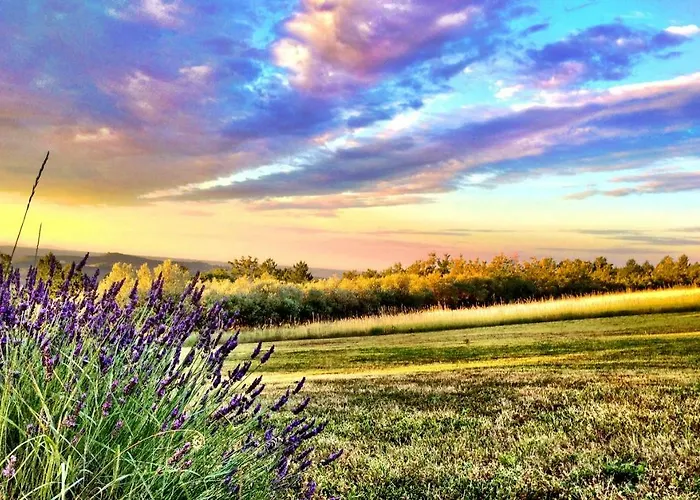 La Colle En Provence Main House Casa vacanze