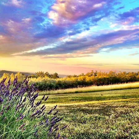 La Colle En Provence Main House Hébergement de vacances