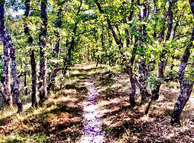 La Colle En Provence Main House Sigonce